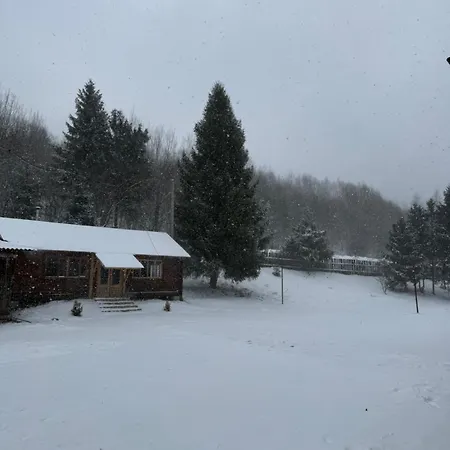 Holiday park гірський затишок Klimets